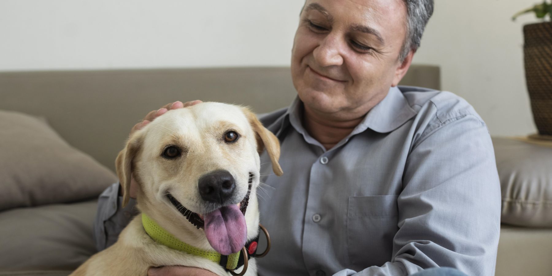 Panting Pooches: Understanding Why Your Dog Pants and How to Help