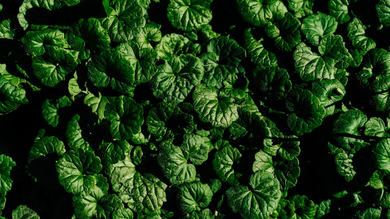 Introduction to Chopped Carbon Fiber